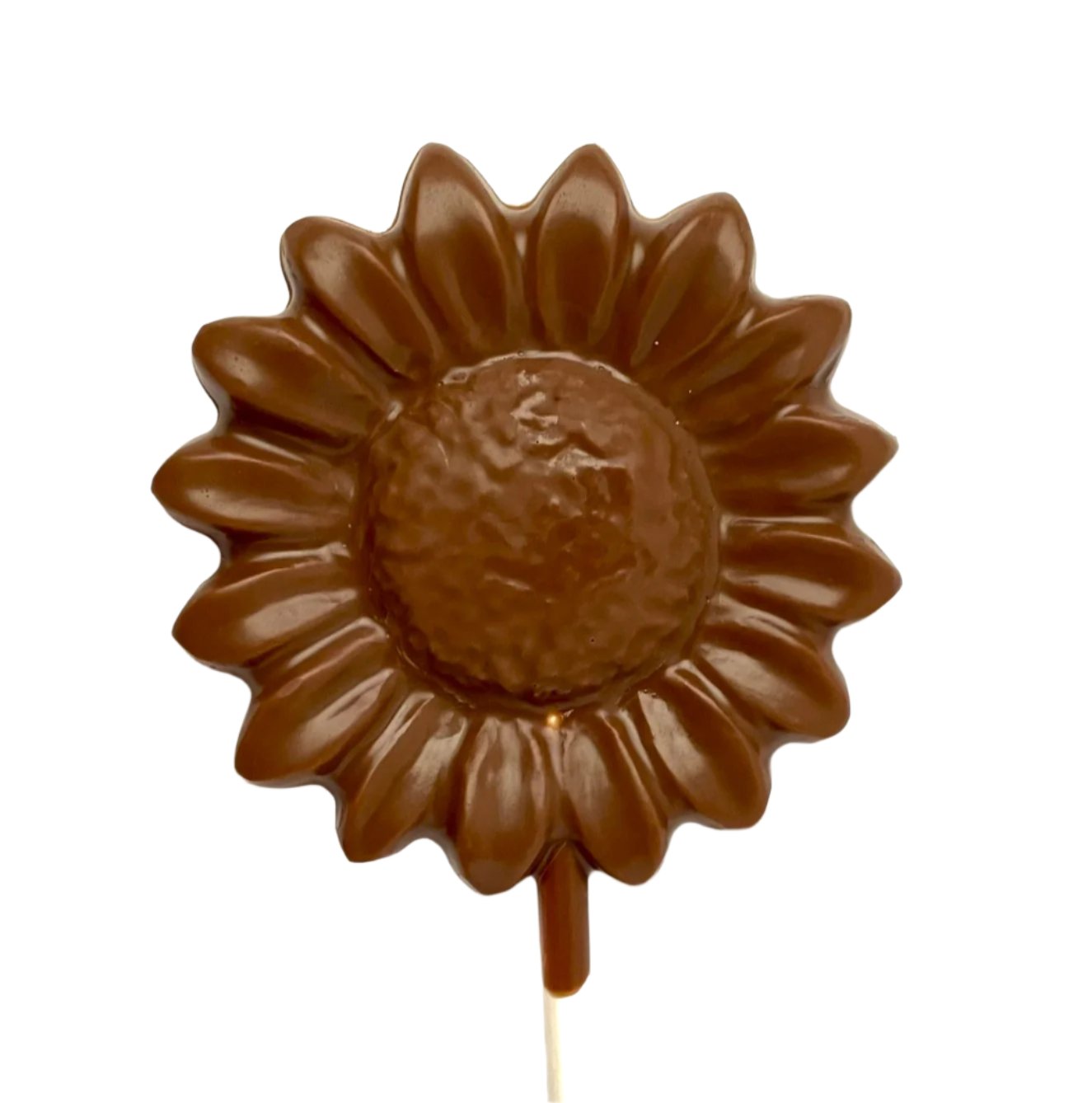 Chocolate lollipop_Sunflower